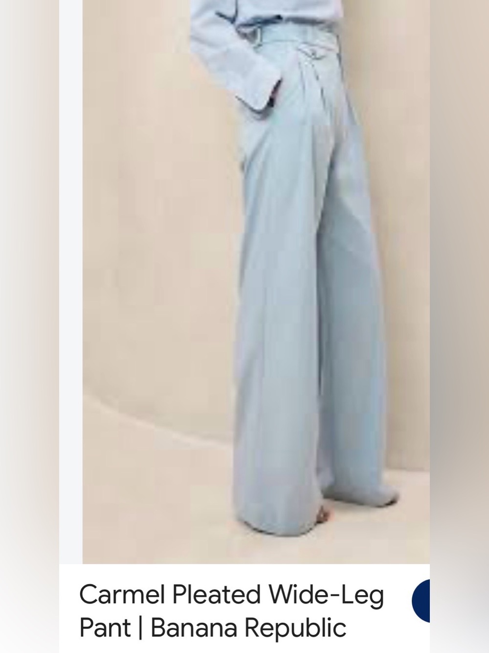 Banana Republic Blue Wide-Leg Pleated Trousers
